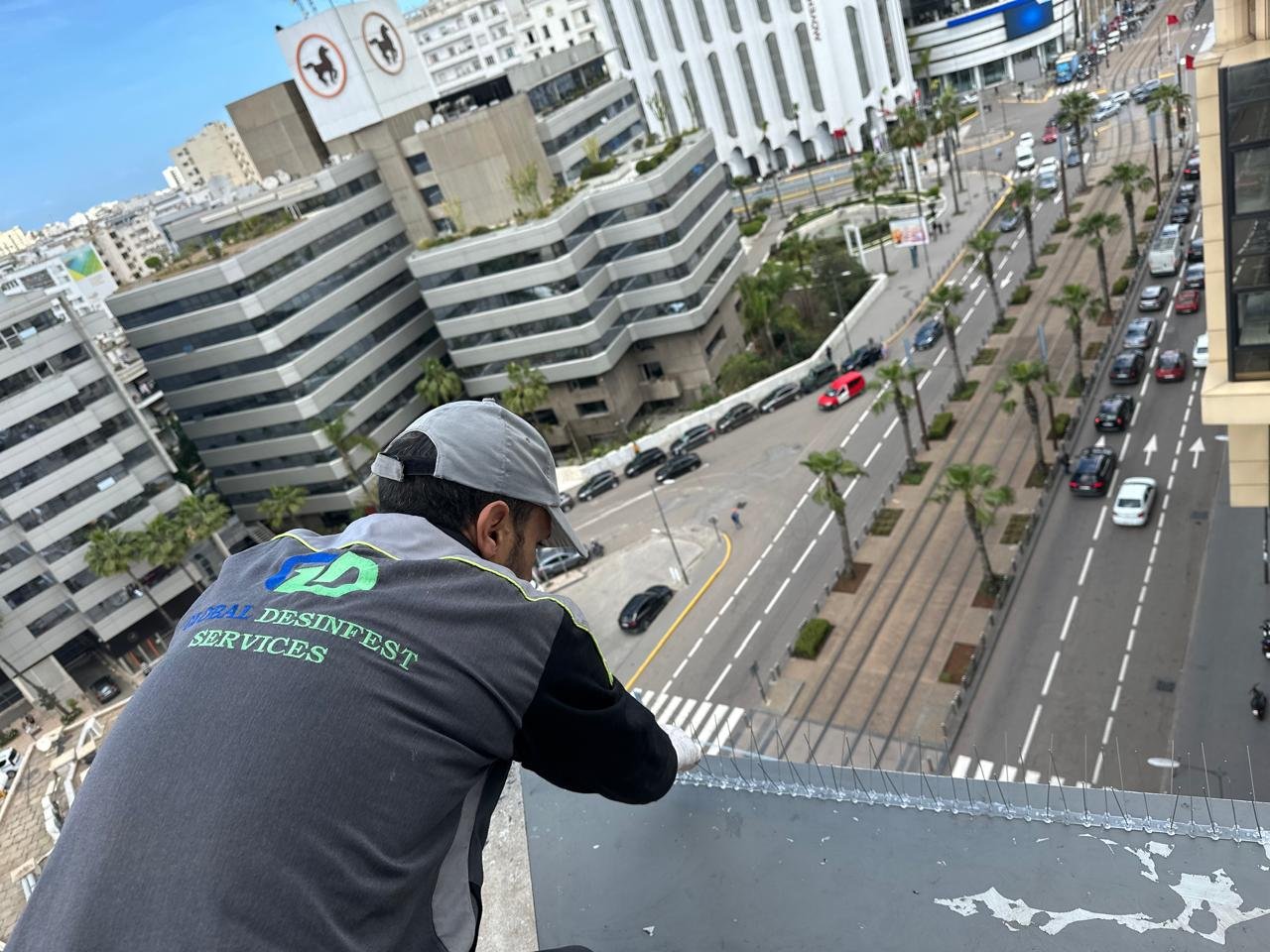 Technicien GDS réalisant une intervention de protection anti-oiseaux en façade